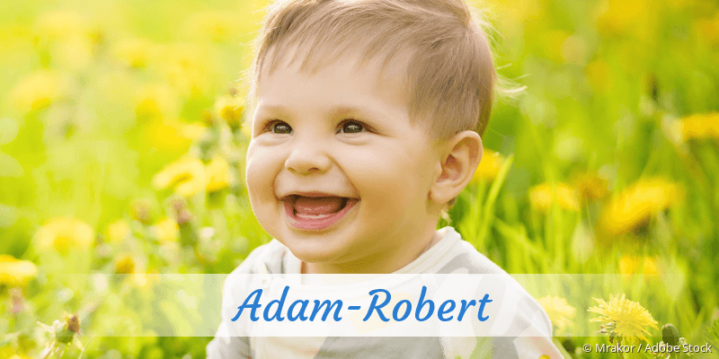 Baby mit Namen Adam-Robert