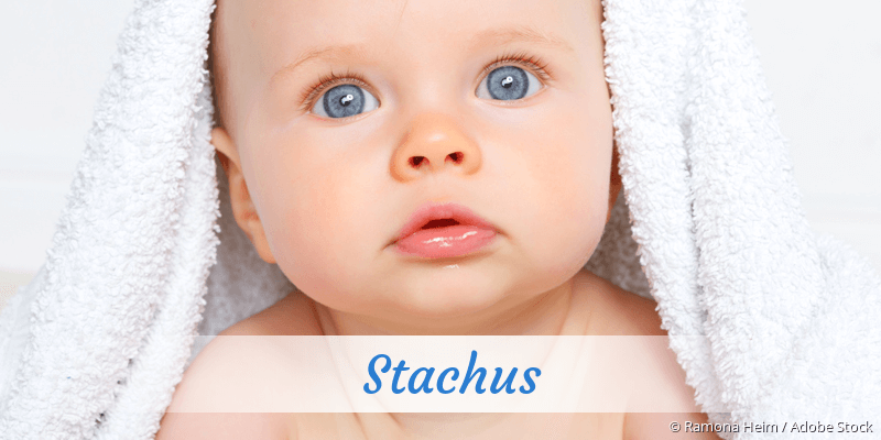 Baby mit Namen Stachus