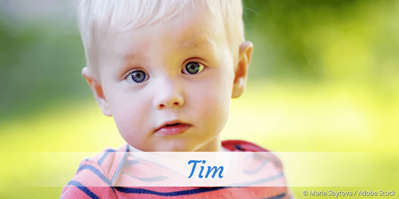 Tim » Name mit Bedeutung, Herkunft, Beliebtheit & mehr